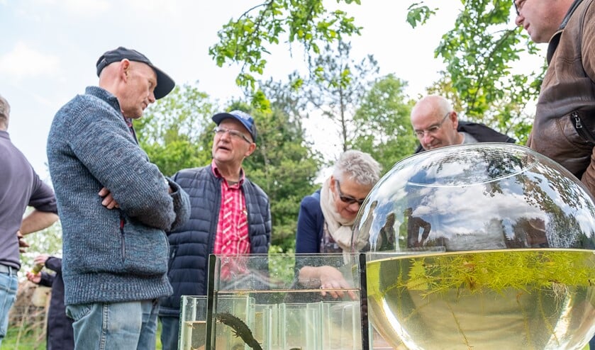 Aandachtige bezoekers van de open dag in de Zumpe; op voorgrond de zeldzame kamsalamander, die even later werd teruggezet in de poel. Foto: Burry van den Brink
