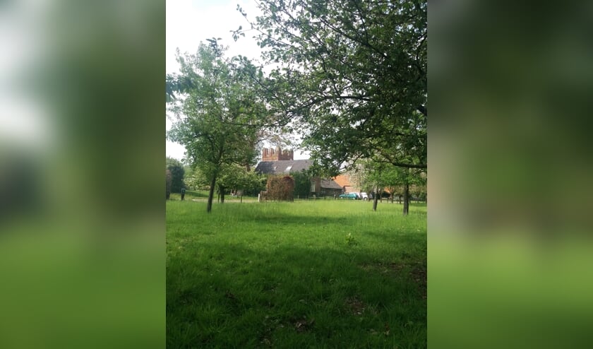 De hoogstamfruitboomgaard bij Hof te Baak en de Baakse Kapelruïne. Foto: PR