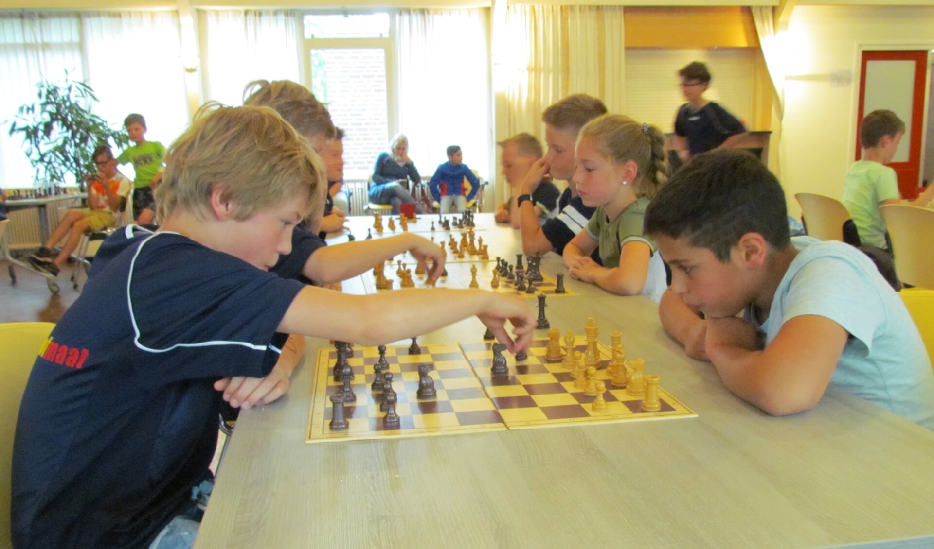 Concentratie bij het schoolschaaktoernooi. Foto: Rob Stevens