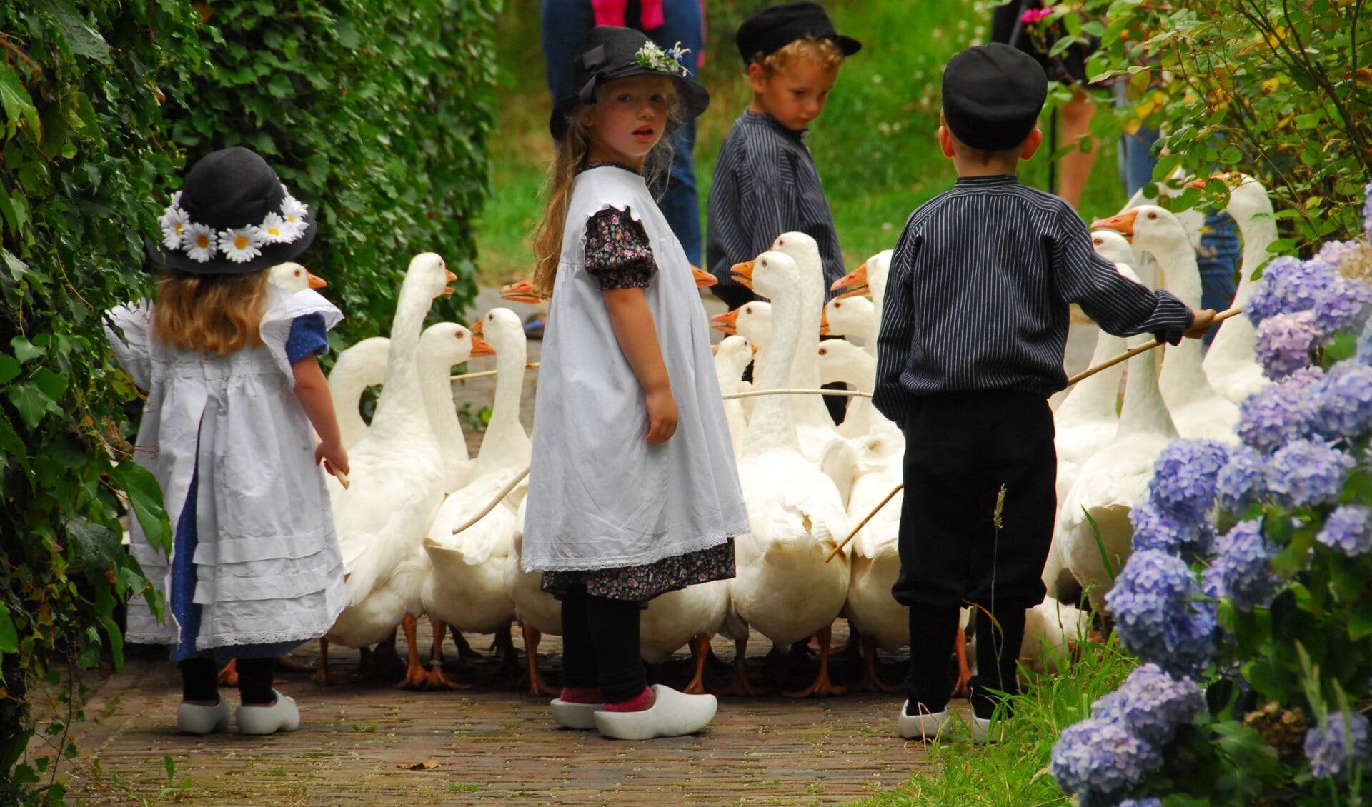 Kinderen kunnen zich opgeven voor het ganzenhoeden. Foto: PR