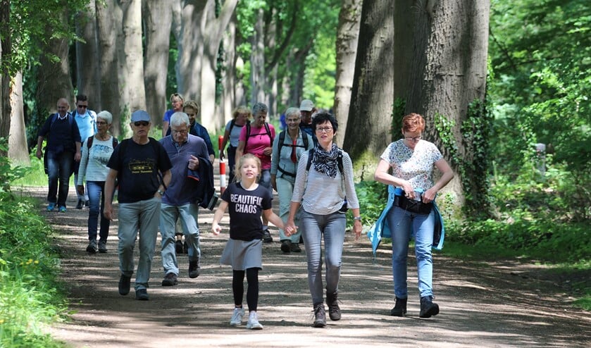 Ruim 600 deelnemers meer voor de Achterhoekse Wandelvierdaagse. Foto: PR