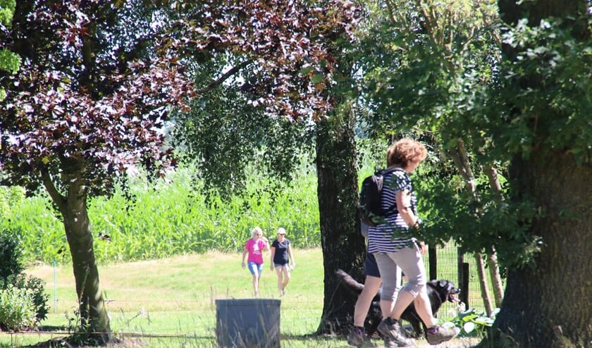 Wandelen en muziek bij het Korenfestival. Foto: PR