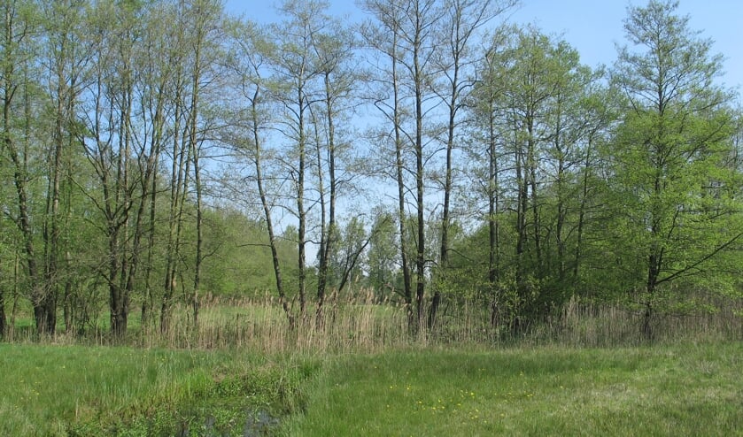 Het Aaltense Goor kan uitgebreid worden. Foto: Bernhard Harfsterkamp