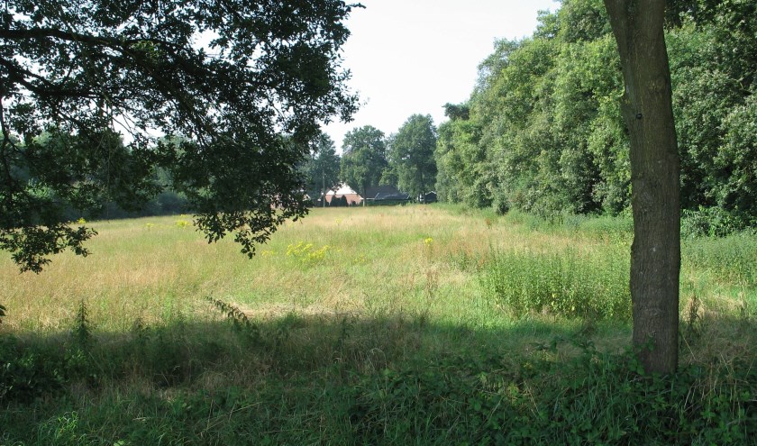 Landschap in de Haart. Foto: Bernhard Harfsterkamp