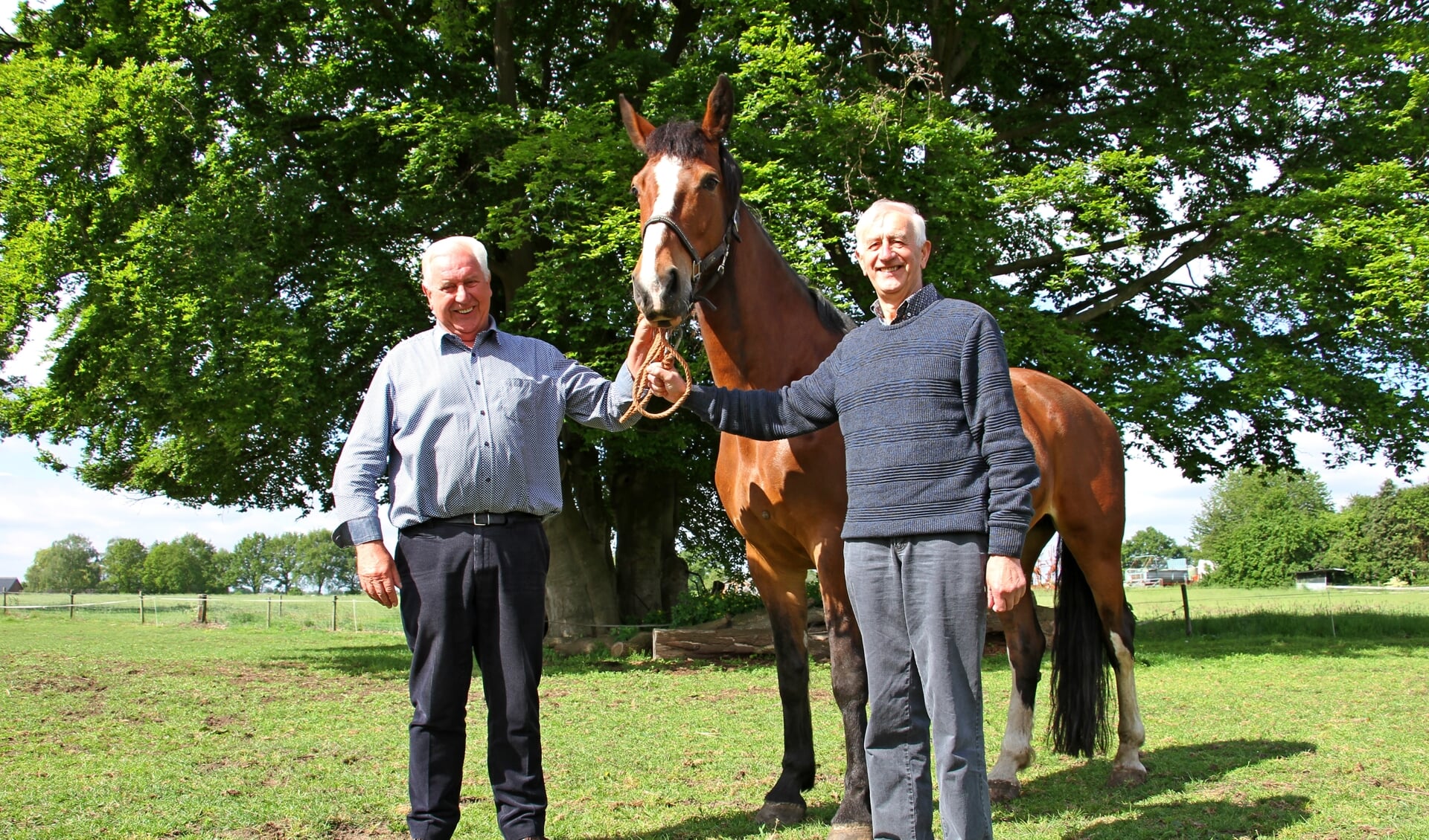 Paardenliefhebbers Tonnie Harmsen (l.)  en Joop Wesselink, hier bij Erika van Gert Harmsen, zijn trouwe leden en vrijwilligers van In Stap en Draf. Foto: Liesbeth Spaansen