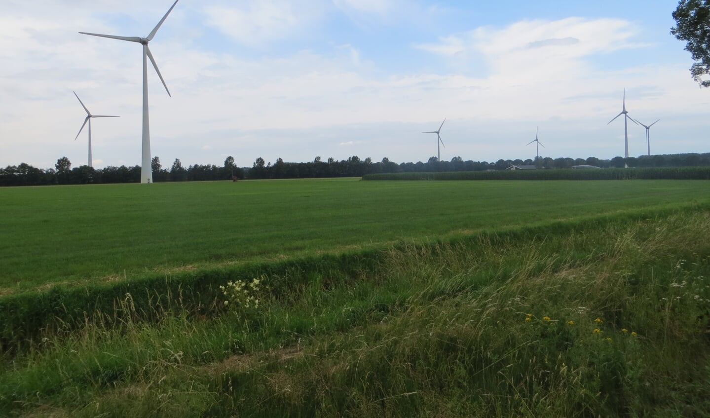 Meer windmolens in de buurt van Hagenwind? Foto: Bernhard Harfsterkamp