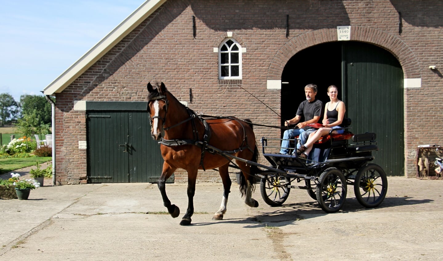 Linda Roekevisch en Gert Harmsen eindigden als zesde bij de puzzelrit van In Stap en Draf. Foto: Liesbeth Spaansen