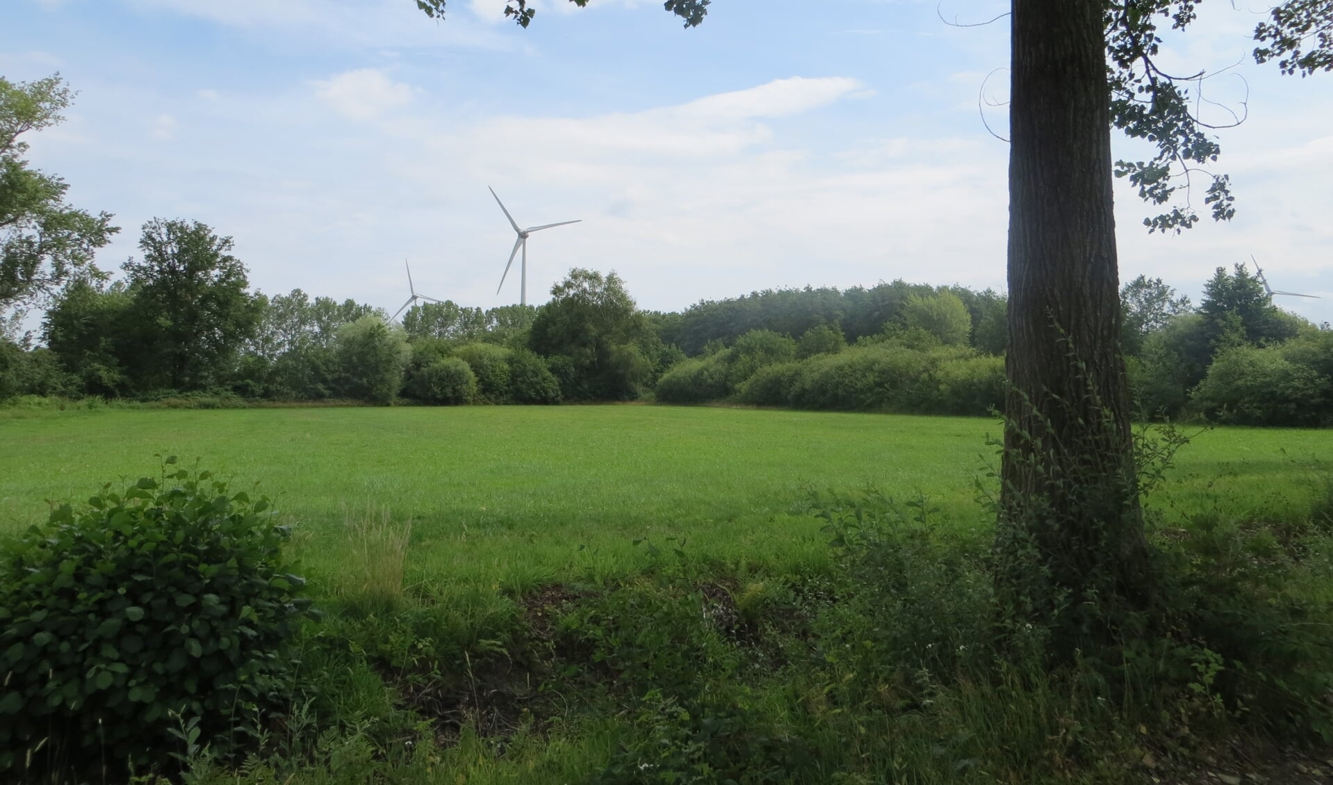 Geen grote windmolens in kwetsbaar landschao zoals het Aaltense Goor, wel ernaast. Foto: Bernhard Harfsterkamp
