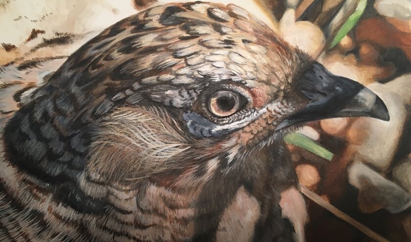 Op jonge leeftijd was Erik Wessels al gefascineerd door de natuur en begon hij met tekenen en schilderen van met name vogels en inheemse dieren. Foto: PR.
