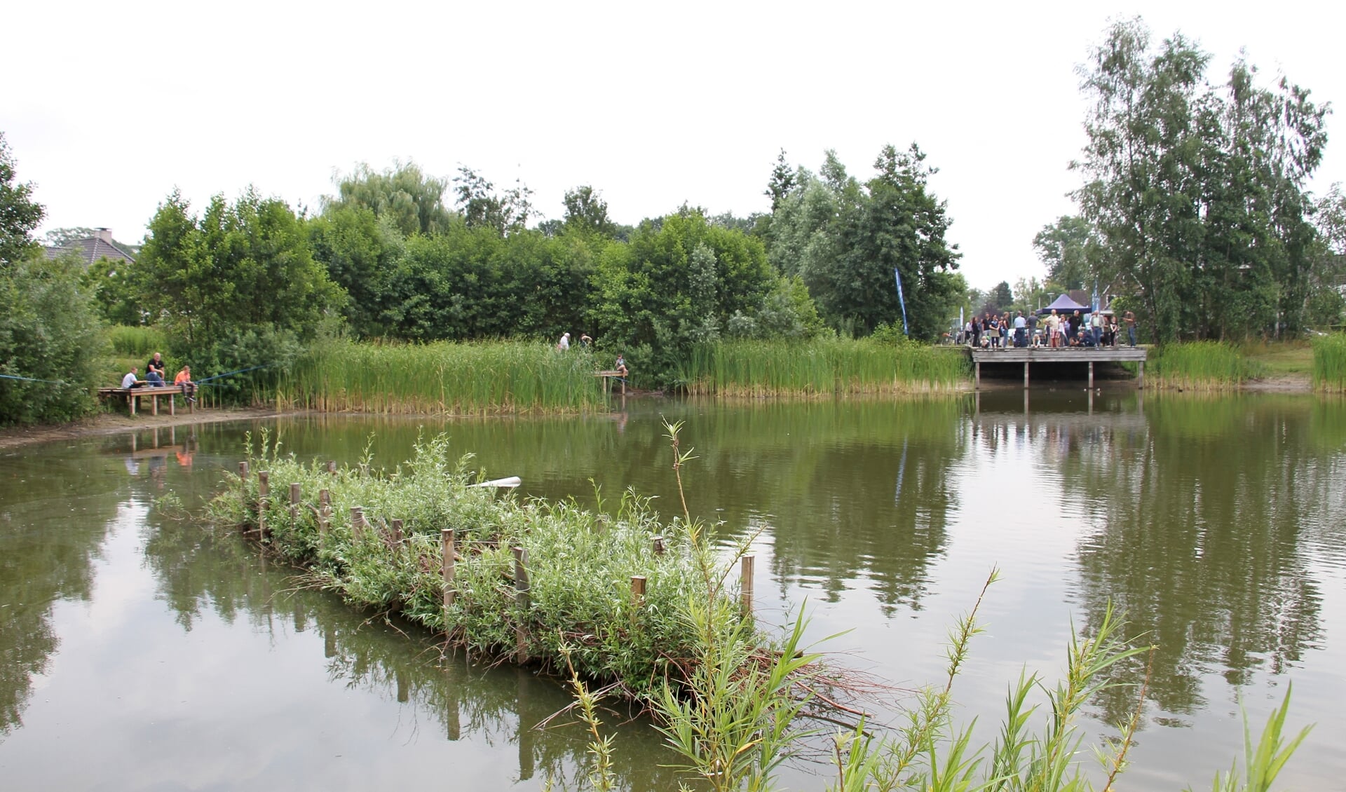De eerste visparel van Nederland: visvijver 't Joostink in wijk Biesterveld. Foto: Liesbeth Spaansen