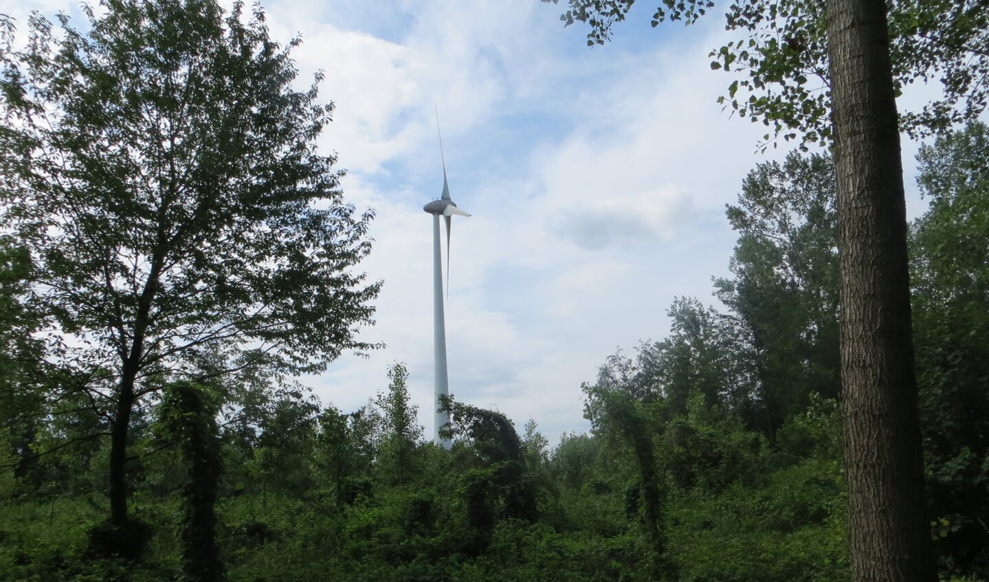 Een van de windmolens. Foto: Bernhard Harfsterkamp