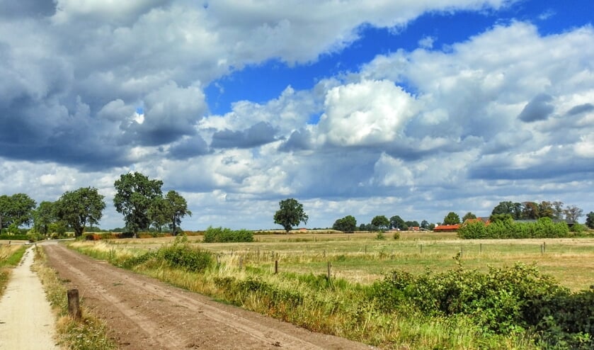 De tocht voert door het fraaie gebied, waar nieuwe en oude natuur naadloos in elkaar overgaan.
