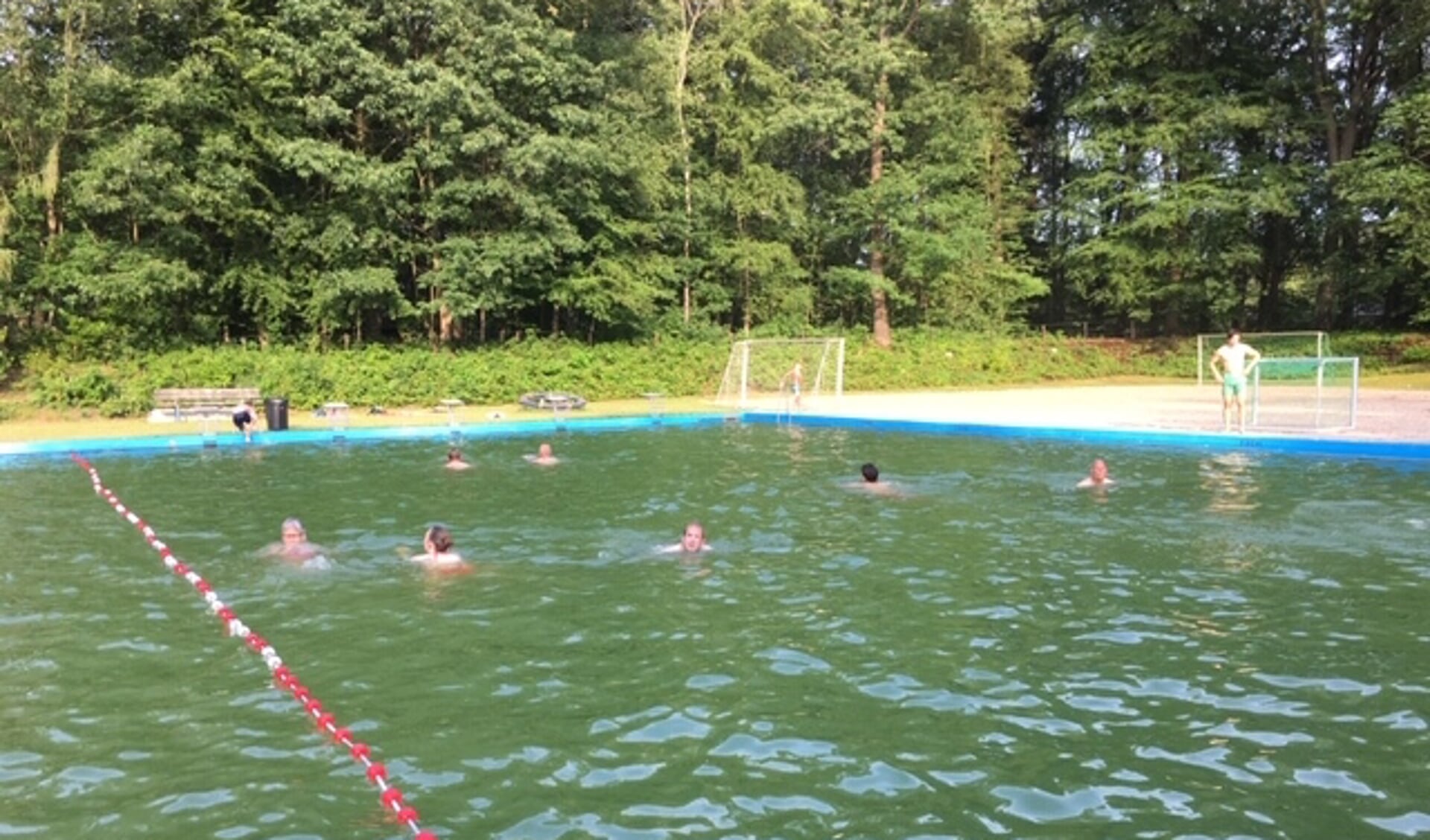 De zwemvierdaagse is in het Natuurbad Rekken. Foto: PR
