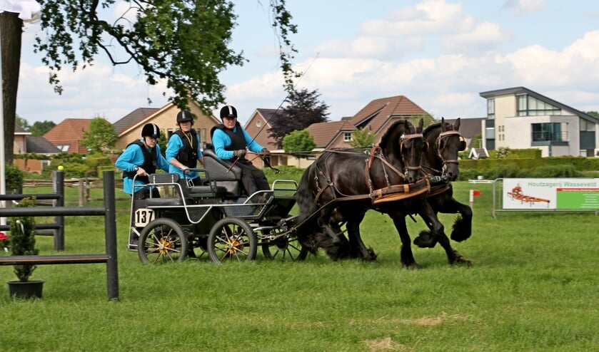 Menner Harry Niesink laat tijdens een demonstratie bij In Stap en Draf zien wat hij kan met zijn tweespan en grooms Hetty Kroesen en Patrick Niesink. Foto: Liesbeth Spaansen