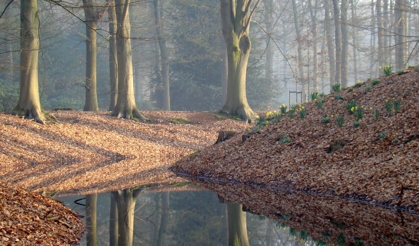 Een van de prachtige natuurfoto's die te zien zijn op de expositie van de GelderseNatuurFotografie. Foto: Jeanette van Erk.