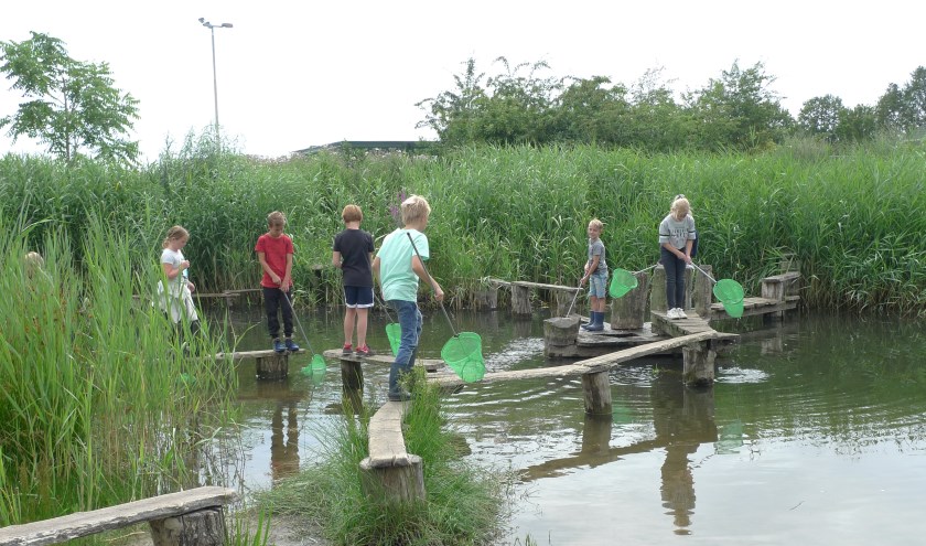 Waterdiertjes vangen in Park de Bleijke. Foto: PR