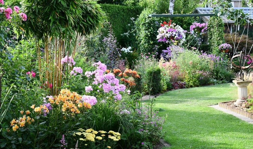 De tuin van de familie Memelink. Foto: Martin Klein Severt