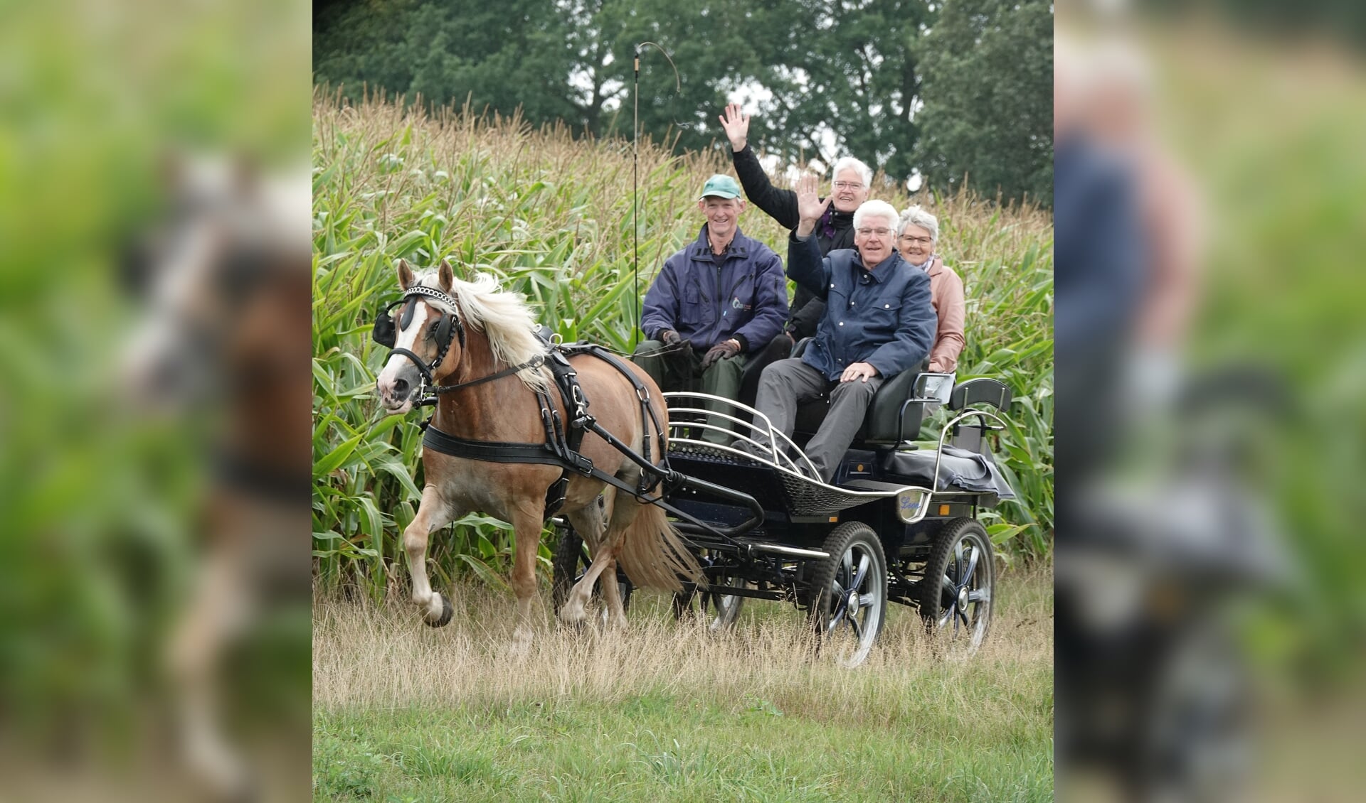 Bennie Hoffmann uit Ruurlo nam alle vier dagen deel aan de Barchemse Paardenvierdaagse. Foto: Gradus Derksen. 