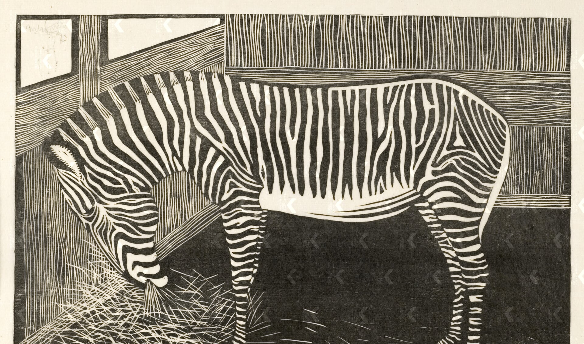 Samuel Jessurun de Mesquita, zebra, circa 1918, houtsnede op papier. Collectie: Gemeentemuseum Den Haag