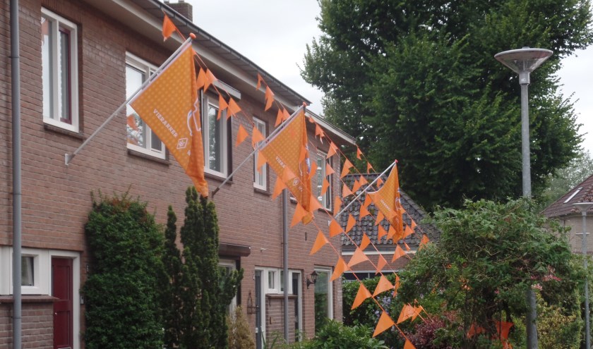 De nieuwe oranje jubileumvlaggen sieren momenteel mening huis in Wichmond en Vierakker. Foto: Jan Hendriksen