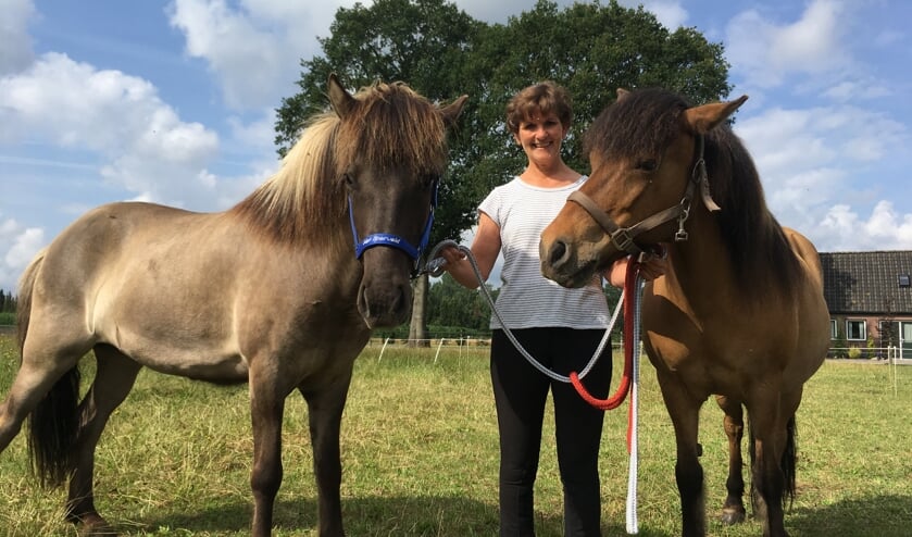 Mieke Kuenen heeft naast Hafdis (r) sinds kort een tweede IJslander. Foto: PR