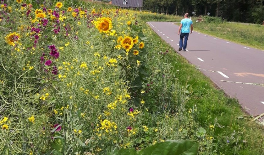 De Boerenland Wandeltocht voert door de veelzijdige omgeving van Beltrum. Foto: Lucie Nahuis