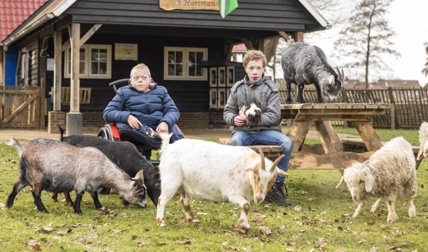 De knuffelweide en de knuffelweide zijn nu ook voor minder-validen goed toegankelijk. Foto: PR Wentholtpark