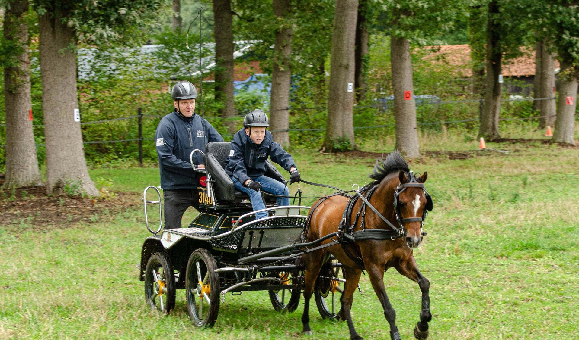 Bram ten Pas stuurt zijn pony als een speer naar de finish van de bomenhindernis aan de Guldenweg. Foto: Gerben Olthof