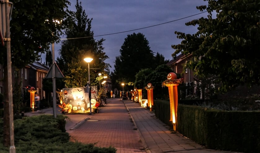 Vorig jaar won de Beatrixlaan de Achterhoek Nieuws Stratenprijs voor de mooiste en sfeervolle straatverlichting tijdens de Septemberfeesten. Foto: Achterhoekfoto/Johan Braakman