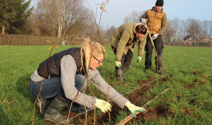 Door het aanplanten van bomen en struiken worden de landschappelijke structuren hersteld en versterkt. Foto: PR/SLG