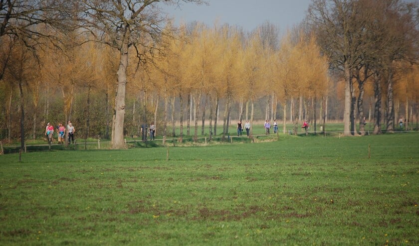 Wandelen door het fraaie herfstlandschap. Foto: PR