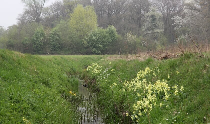Struinen door Ratum in Winterswijk. Foto Geldersch Lanschap & Kasteelen, Iris Bottema