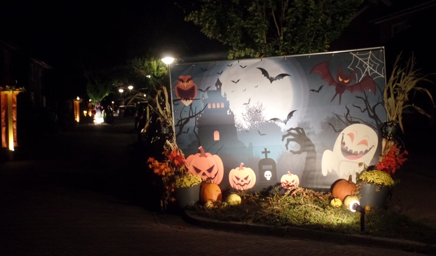 Het thema Halloween was dit jaar verder uitgewerkt door de bewoners van de Beatrixlaan. Foto: Jan Hendriksen. 