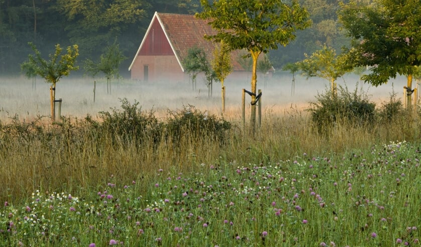 Landgoed Menink. Foto: Natuurmonumenten/Geurt Besselink