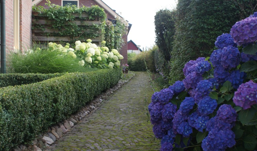 Eén van de 'gängeskes': het Magispad. Foto: Bettina Vreeman
