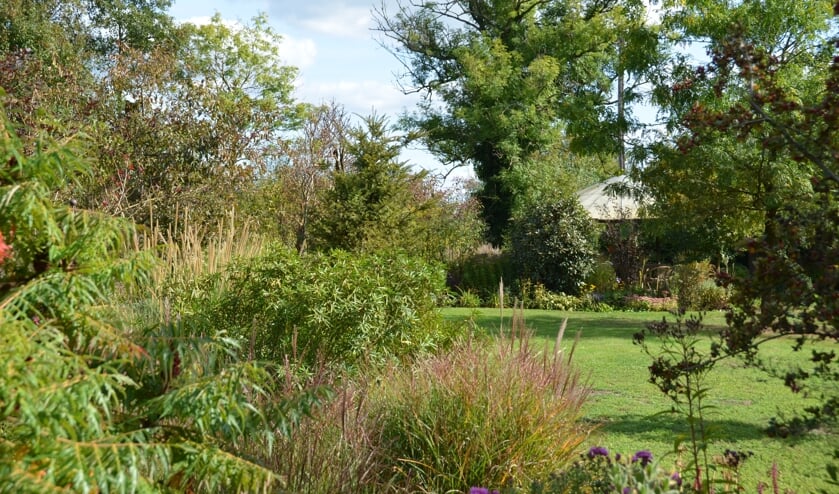 De landschapstuin van Dineke Brethouwer. Foto: eigen foto