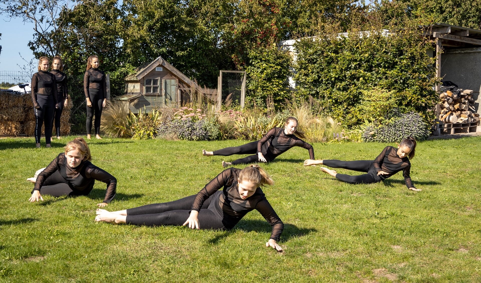 Op het zonovergoten grasveld naast De IJsselstroom dansten vier groepen dansers hun ballet. Foto: Jos Böhmer