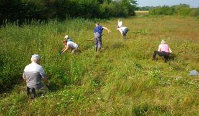 De natuurwerkdag in de Besselinkschans in 2018. Foto: PR KNNV