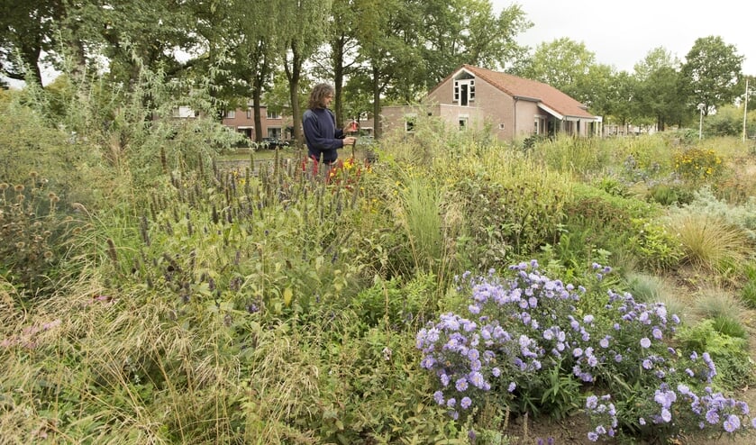 De ontmoetingstuin op 't Hooiland met op de achtergrond wijkgebouw De Schoppe. Foto: PR