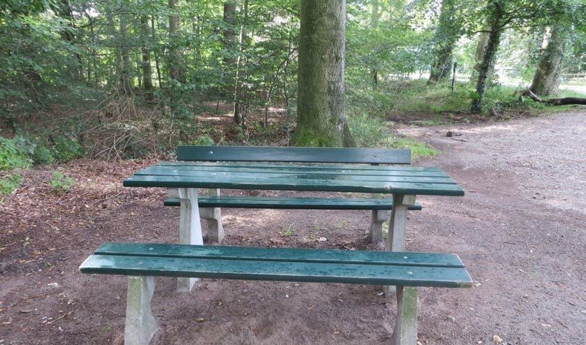 Het bankje bij het Jachthuisbos. Foto: Bernhard Harfsterkamp