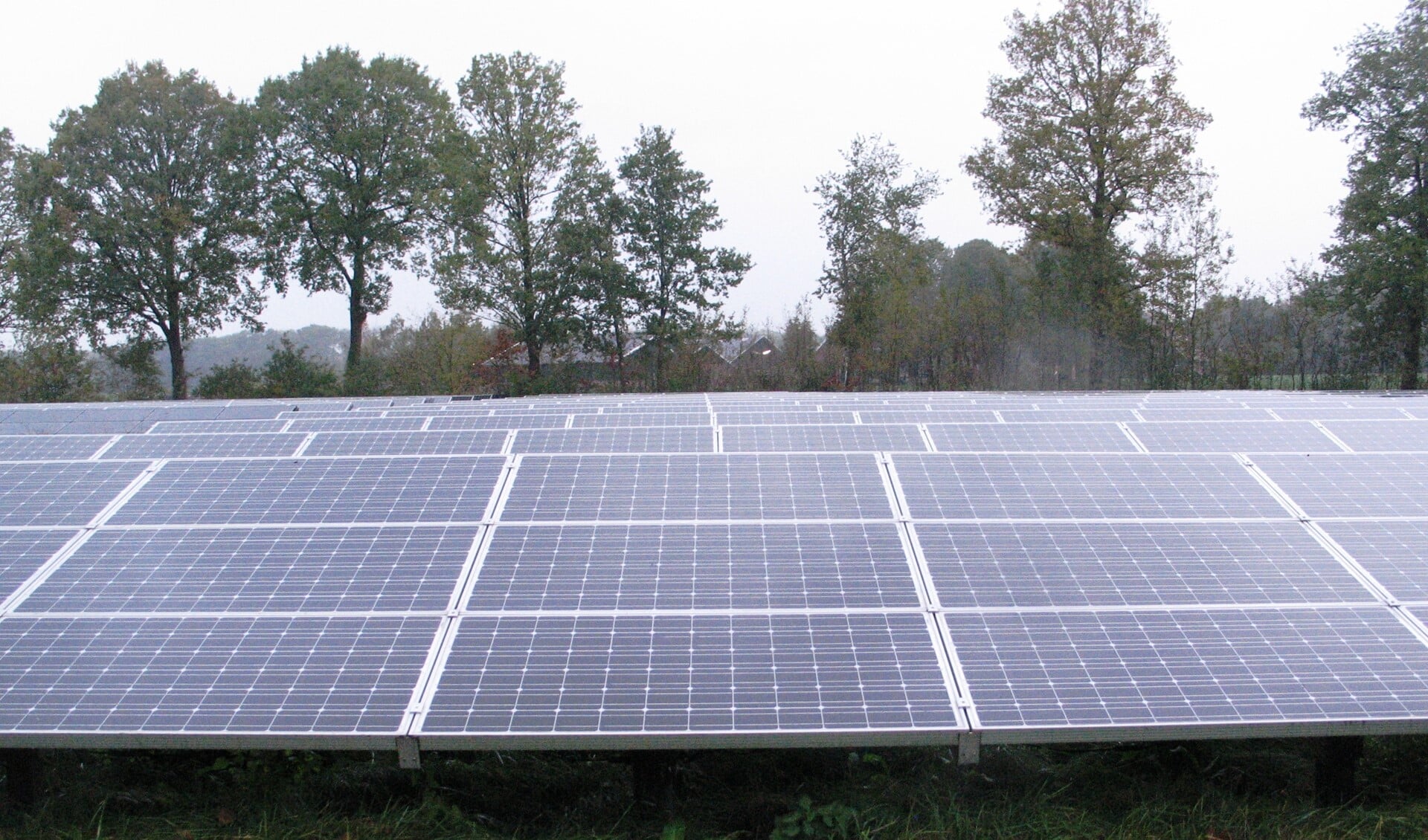 Het energiepark in Ratum leidde tot beleidskader voor zonneparken. Foto: Bernhard Harfsterkamp
