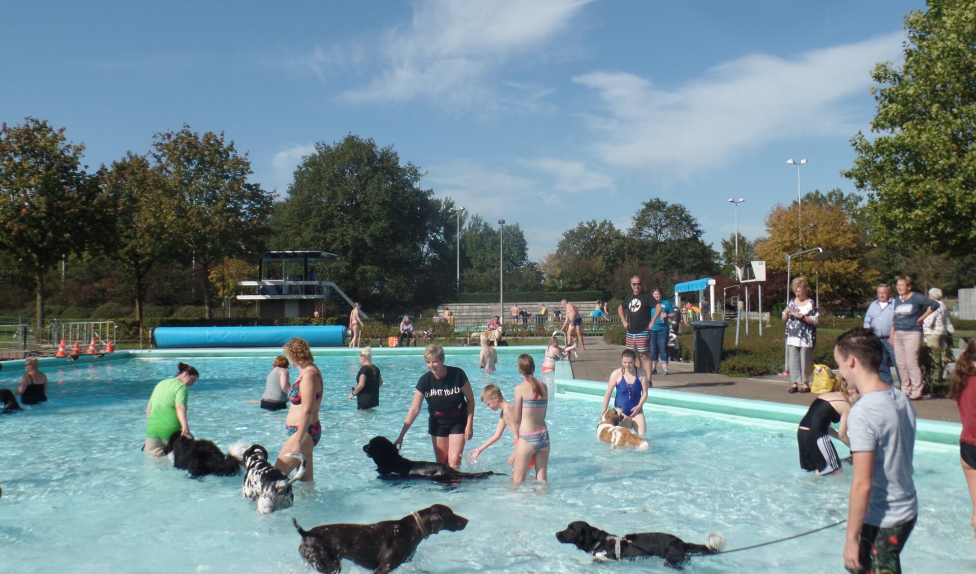 De honden hadden evenals hun baasjes volop plezier in het water. Foto: Jan Hendriksen. 