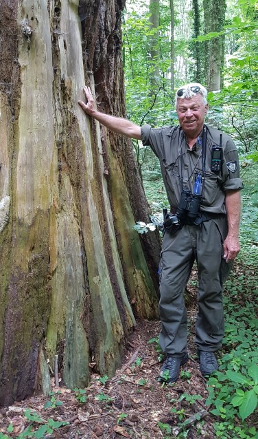 Willem Regtop in natuurgebied Hassinkbos bij Epse, eigendom van Natuurmonumenten. Eigen foto