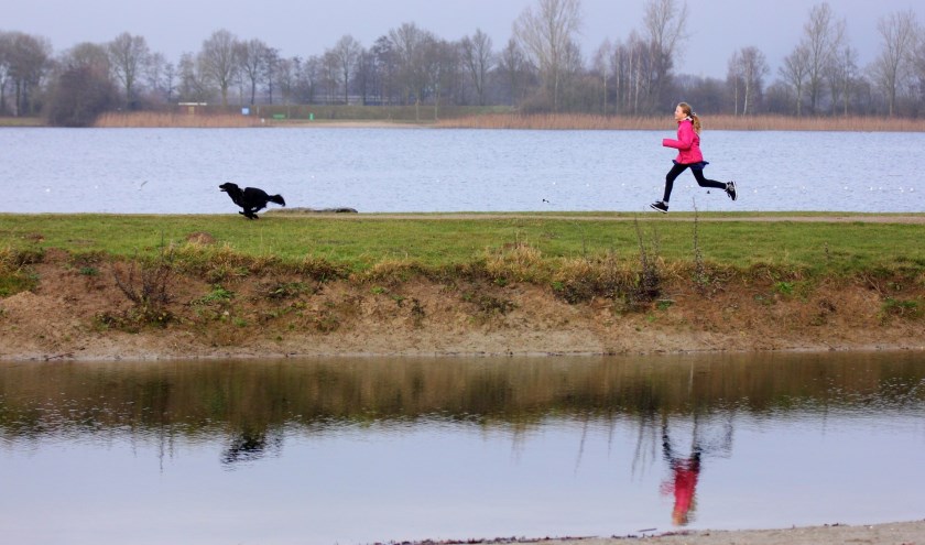 Heerlijk ravotten in de natuur. Foto Picasa
