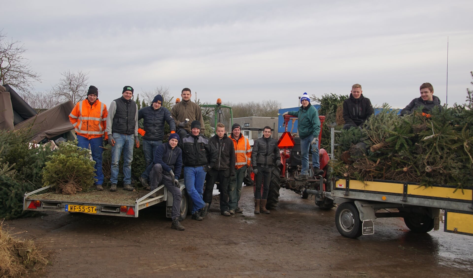 In 2020 haalden de CJV'ers kerstbomen op, ook dit jaar gaan ze dat doen.Foto: Frank Vinkenvleugel