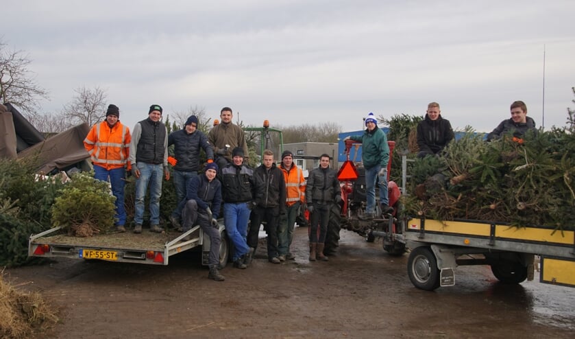 <p>In 2020 haalden de CJV'ers kerstbomen op, ook dit jaar gaan ze dat doen.Foto: Frank Vinkenvleugel</p>