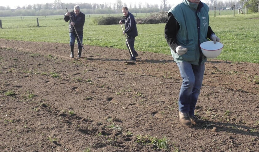 Inzaaien van de akkerrand, april 2019. Foto: Frank van Heijst