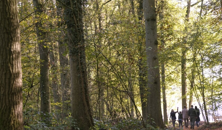 Wandelen op Hackfort. Foto: Landgoed Hackfort - Natuurmonumenten/René Koster