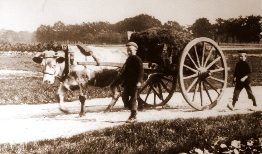 Een karakteristiek beeld uit de tijd die het klankbeeld toont. Foto: PR