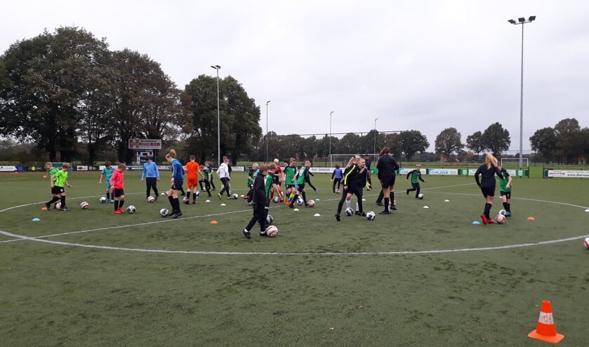De jeugd van Sc. Meddo aan de slag met circuittraining. Foto: PR